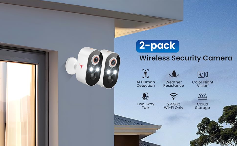 Wireless Security Camera