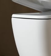 Toilets