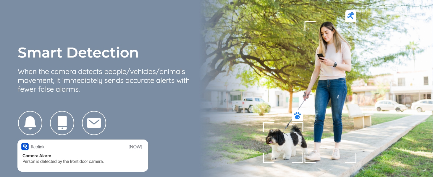 a dog walking on a sidewalk with a text overlay that reads : ` ` vehicle / animals that are accurate alerts with a text overlay.''