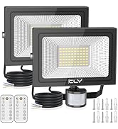 CLY 25W Security Lights Outdoor Motion Sensor, 2100 Lumen IP66 Waterproof Outside Light with Remo...