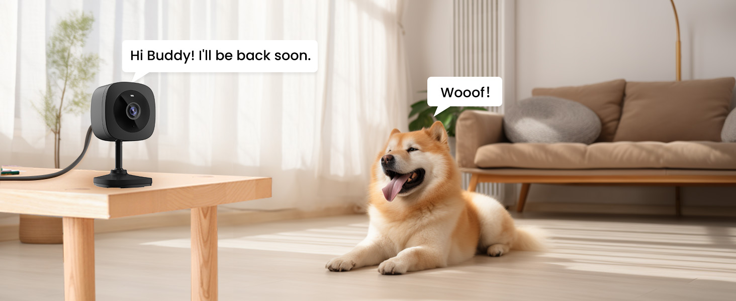 Indoor scene with a small black camera on a table and a dog lounging on a couch. Camera display shows text interaction.
