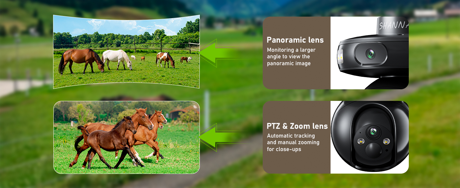 Split image showing horses in a field and two camera lens views with text indicating 'Panoramic lens' and 'PTZ lens' specifications. Camera monitoring system demonstrating wide-angle and zoom capabilities.