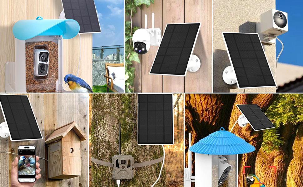 Collection of outdoor security cameras with solar panels, shown in various mounting positions with protective covers and weather shields.
