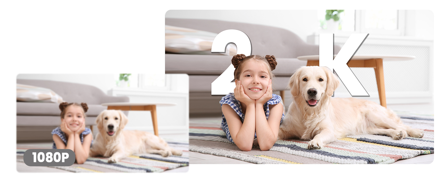 Indoor scene with hardwood floor, showing a person and a dog lying on a rug. Text overlay indicates 1080p resolution, suggesting high-definition video capability.