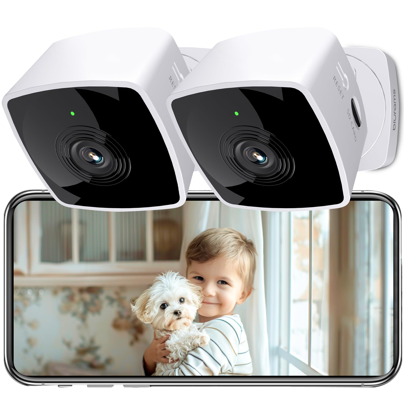 blurams Indoor Camera 2PCS