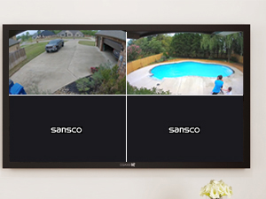 HD image with Vivid Color