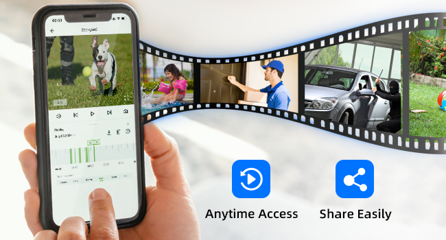 History Video Playback