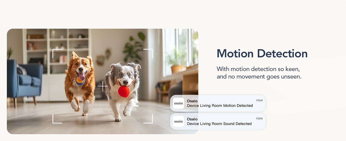pet camera with app