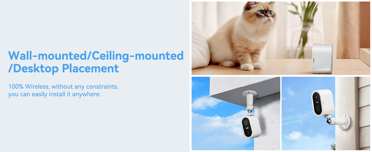 Text reads 'Wall-mounted/Ceiling-mounted/Desktop Placement'. Security camera mounting options shown in multiple installation scenarios.