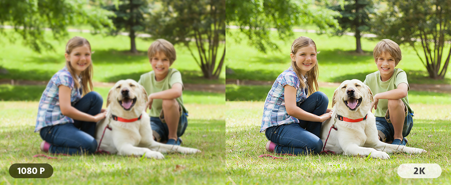 Group relaxing outdoors on grass in casual setting, showing social interaction in natural environment.