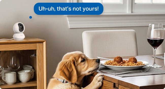 Text reads 'Uh-uh, that's not yours!' Series of images showing a dog near table settings and kitchen counters, appearing to illustrate pet training scenarios.