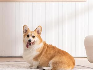 aplus content image
