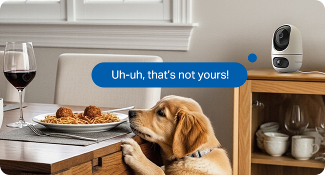 Text reads 'Uh-oh, that's not yours!' Series of images showing a golden-colored dog near kitchen counters with food and wine glasses.