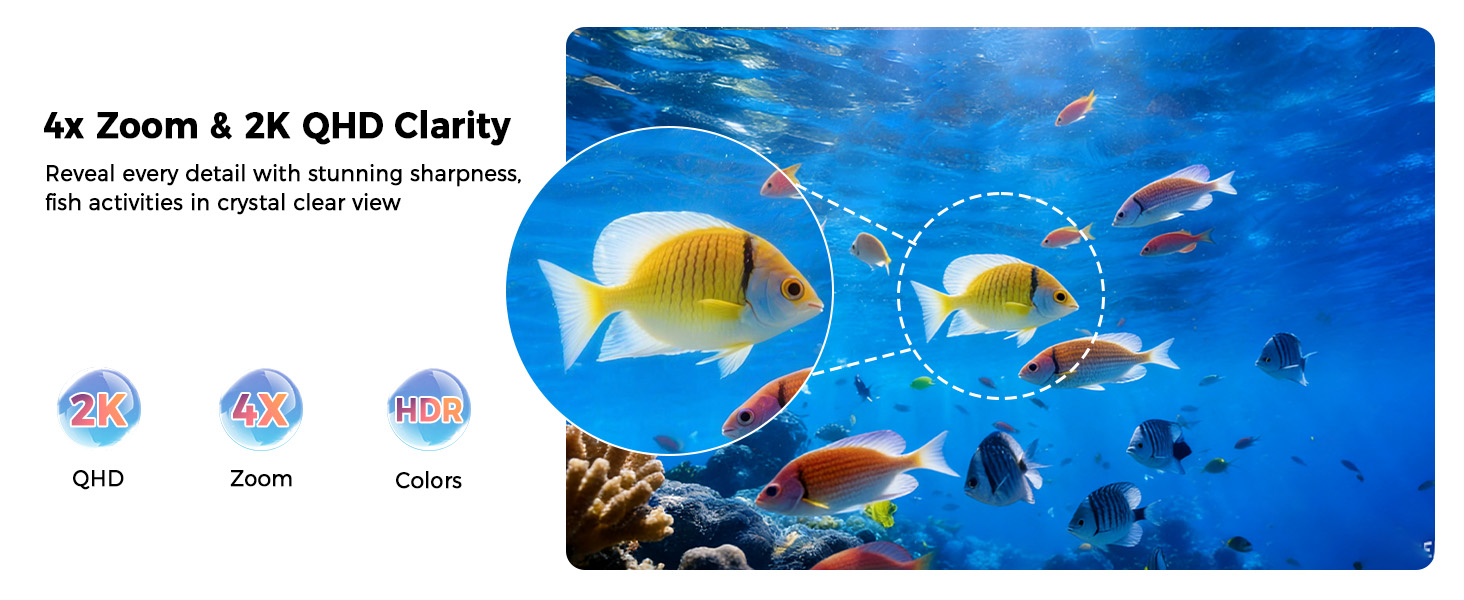 Text reads '4K Zoom 4.2K QHD Clarity'. Underwater scene with yellow and white tropical fish swimming near coral reef, demonstrating camera zoom capability with circular zoom reference indicators.