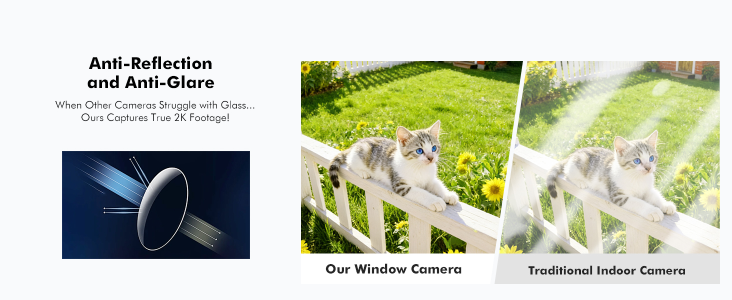Text reads 'Anti-Reflexion and Anti-Glare' with product specifications. Images show reflective surface comparison and two types of window guards: 'Sun Window Guards' and 'Traditional Insect Guards'.