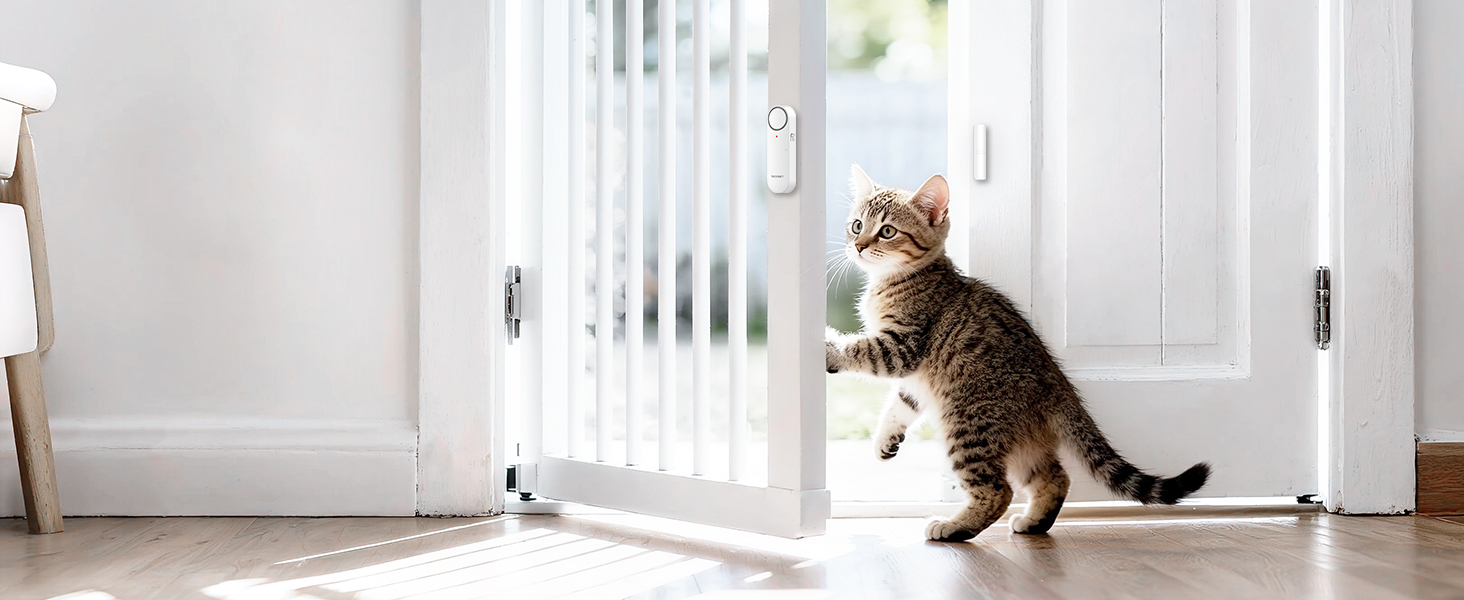 Cat walking across a well-lit interior space, captured in sequential frames showing natural feline movement and behavior.