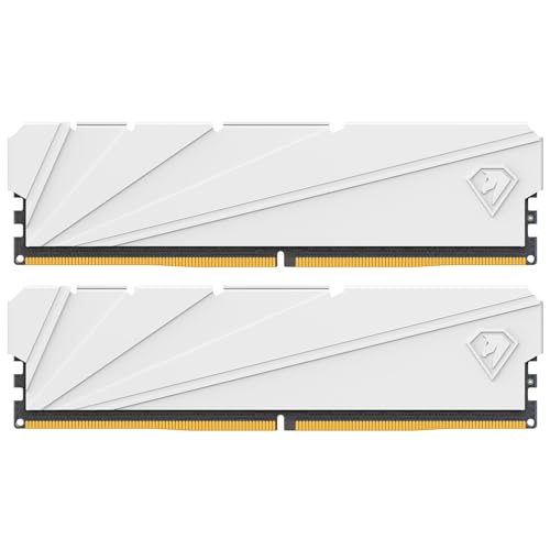 Netac DDR4 3200MHz 16GB (2 X 8GB) RAM Computer Desktop Memory DRAM Kit C16 XPM2.0 Gaming Memory 16GB with Heat Sink