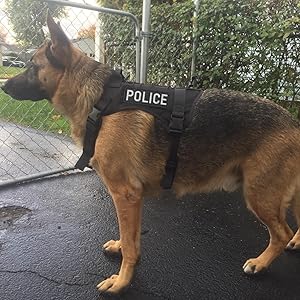 police patches