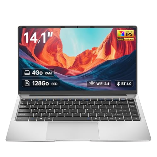 14.1" Laptop