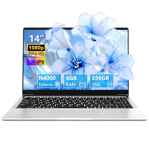 14.1 inch Laptop