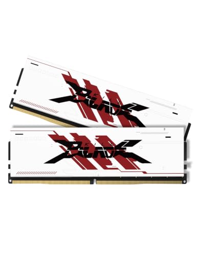 PUSKILL 32GB Kit (2x16GB) DDR4 RAM 3200MHz PC4-25600 Desktop Memory with Aluminum Heatsink