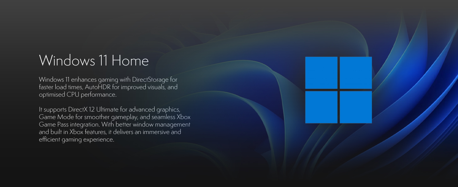 Text reads 'Windows 11 Home'. Dark blue gradient background with Windows logo and descriptive text about operating system features.
