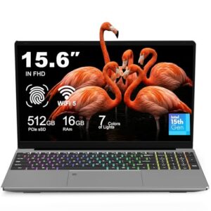 Laptop 15.6 Inch FHD IPS Display