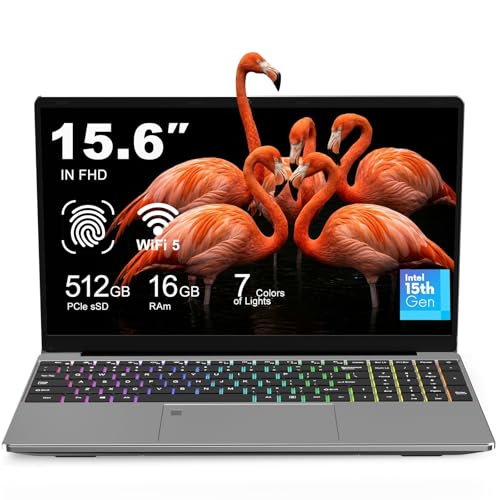 Laptop 15.6 Inch FHD IPS Display