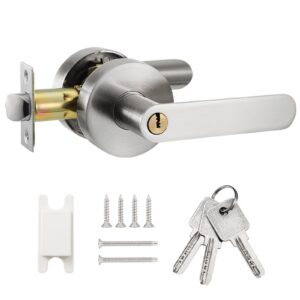 Door Handle with Lock