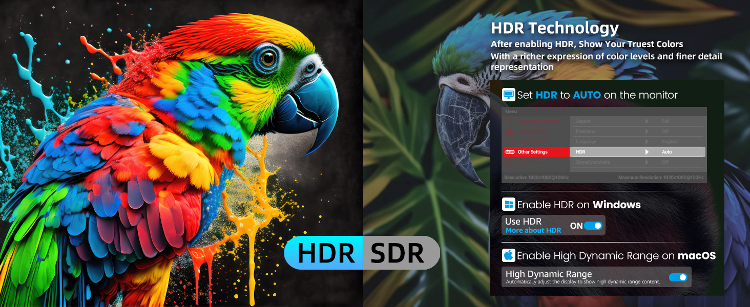 Text reads 'HDR SDR'. Multiple screenshots of video or gaming interface showing HDR settings and color calibration options.