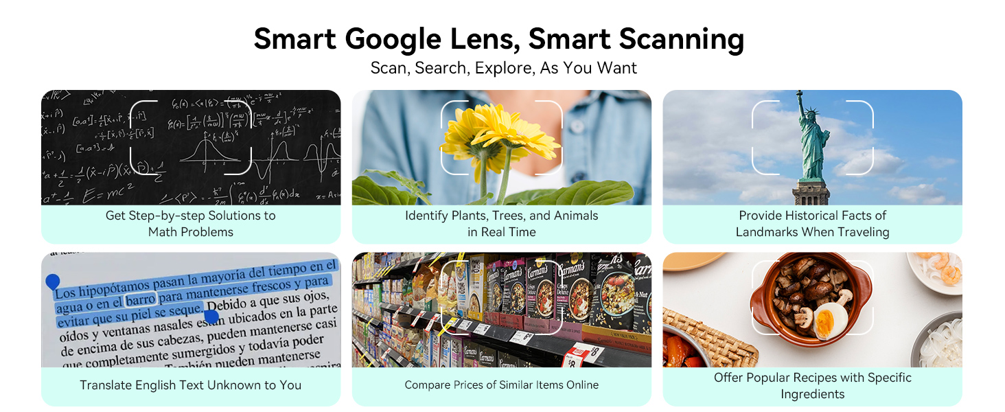Composite image showcasing Google Lens features: math problem solving, plant identification, landmark recognition, text translation, shopping assistance, and food recognition capabilities.