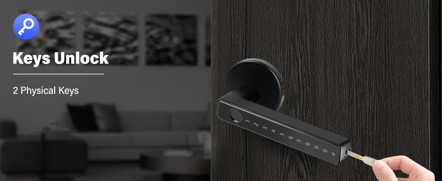 Close-up of a black door handle with a key being inserted. Text overlay reads 'Keys Unlock' and '2 Physical Keys'.