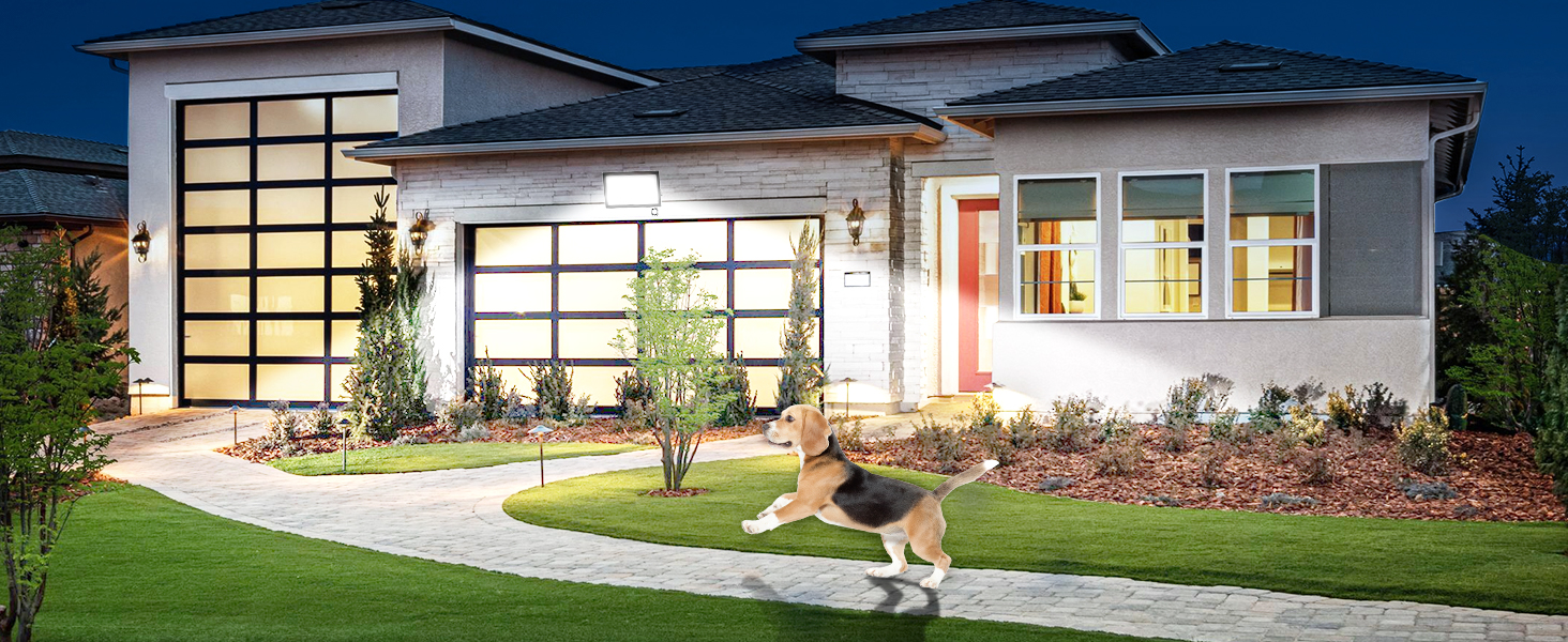 Modern single-story house with glass garage door, orange front door, and curved walkway through landscaped garden at twilight.
