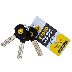 3 star cylinder maximum security cylinder yale